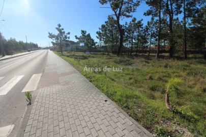 Terreno para Venda em Vieira de Leiria