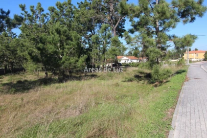 Terreno para Venda em Vieira de Leiria
