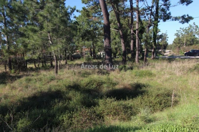 Terreno para Venda em Vieira de Leiria