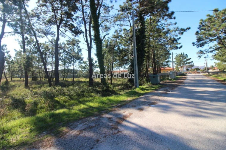 Terreno para Venda em Vieira de Leiria Foto 3