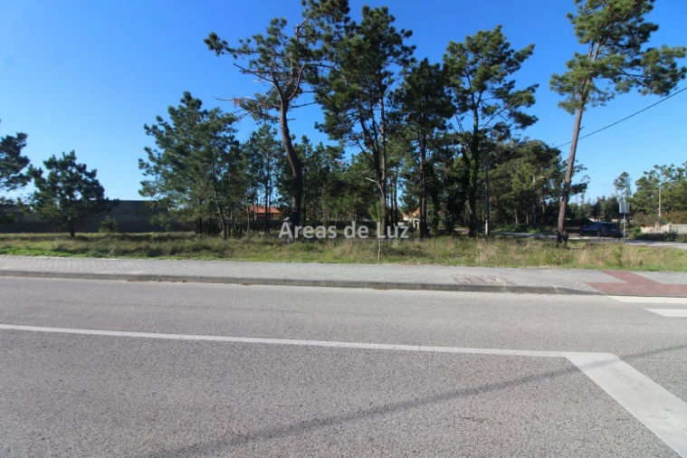 Terreno para Venda em Vieira de Leiria Foto 7