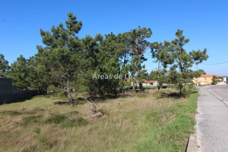 Terreno para Venda em Vieira de Leiria Foto 9