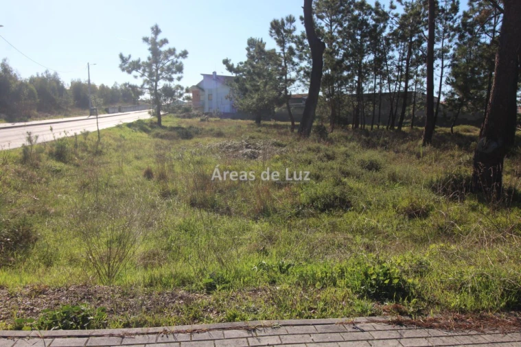 Terreno para Venda em Vieira de Leiria Foto 13