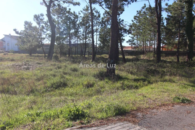 Terreno para Venda em Vieira de Leiria Foto 14