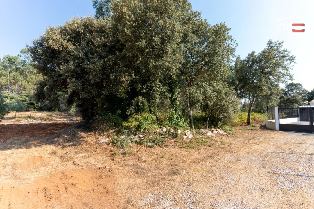 Terreno Agricola ou Rústico para Venda em Fatima Foto 1