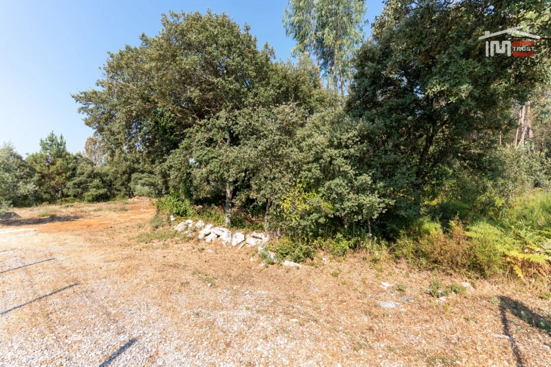 Terreno Agricola ou Rústico para Venda em Fatima Foto 2