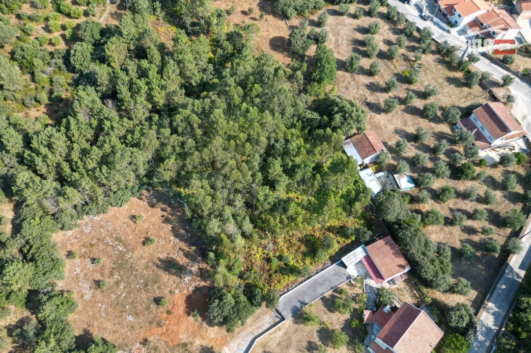 Terreno Agricola ou Rústico para Venda em Fatima Foto 4
