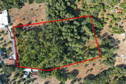 Terreno Agricola ou Rústico para Venda em Fatima