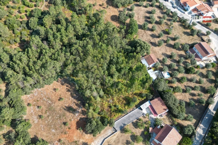 Terreno Agricola ou Rústico para Venda em Fatima Foto 4