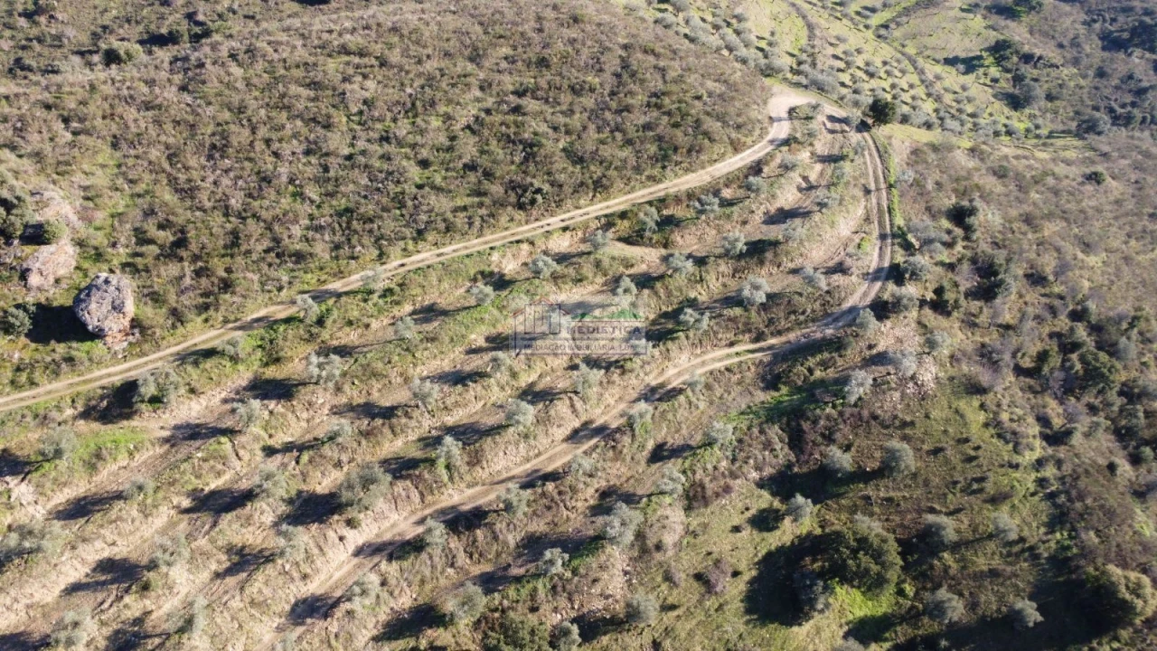 Quinta para Venda em Eucisia, Gouveia e Valverde Foto 8