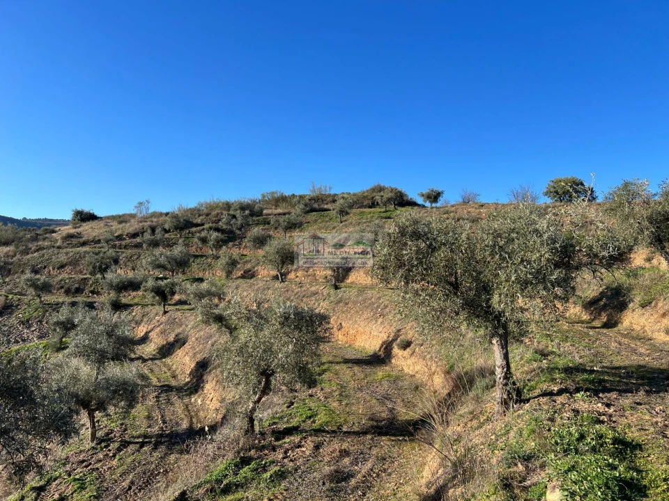 Quinta para Venda em Eucisia, Gouveia e Valverde Foto 3