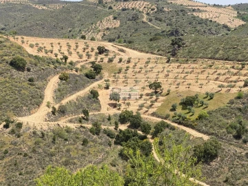 Quinta para Venda em Eucisia, Gouveia e Valverde