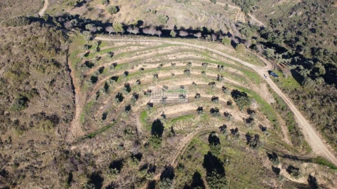 Quinta para Venda em Eucisia, Gouveia e Valverde