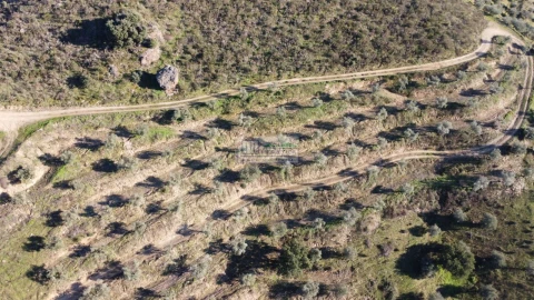 Quinta para Venda em Eucisia, Gouveia e Valverde