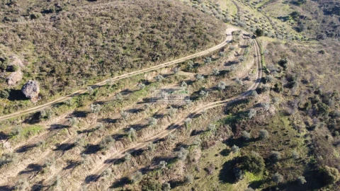Quinta para Venda em Eucisia, Gouveia e Valverde