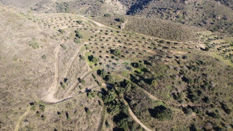 Quinta para Venda em Eucisia, Gouveia e Valverde