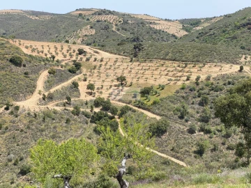 Quinta para Venda em Eucisia, Gouveia e Valverde