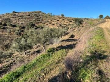 Quinta para Venda em Eucisia, Gouveia e Valverde