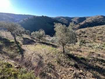 Quinta para Venda em Eucisia, Gouveia e Valverde