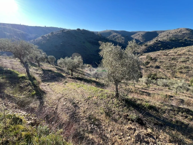 Quinta para Venda em Eucisia, Gouveia e Valverde Foto 5