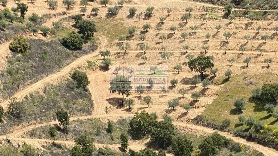 Quinta para Venda em Eucisia, Gouveia e Valverde