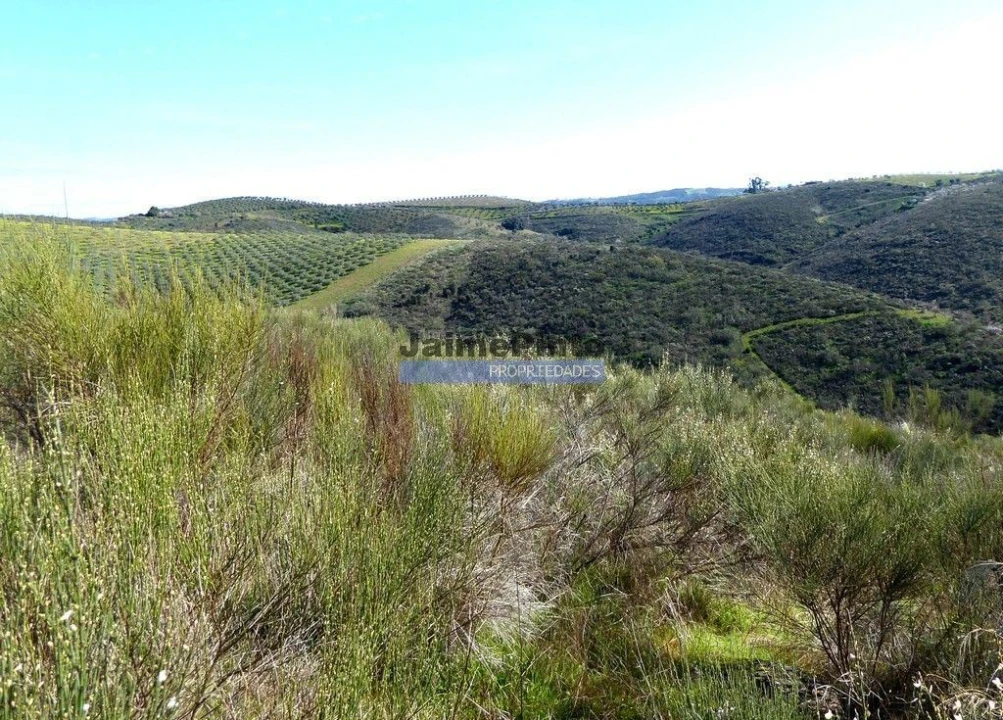 Terreno Agricola ou Rústico para Venda em Cerejais Foto 4