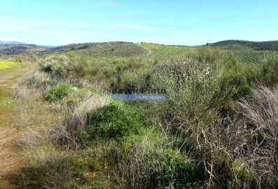 Terreno Agricola ou Rústico para Venda em Cerejais