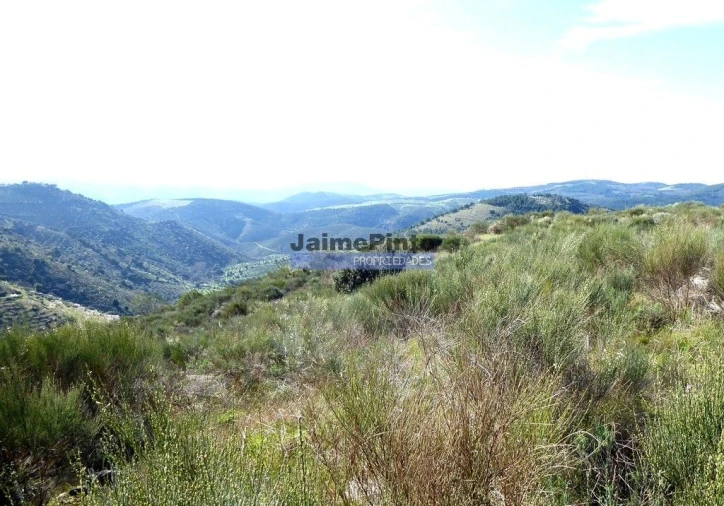Terreno Agricola ou Rústico para Venda em Cerejais Foto 3