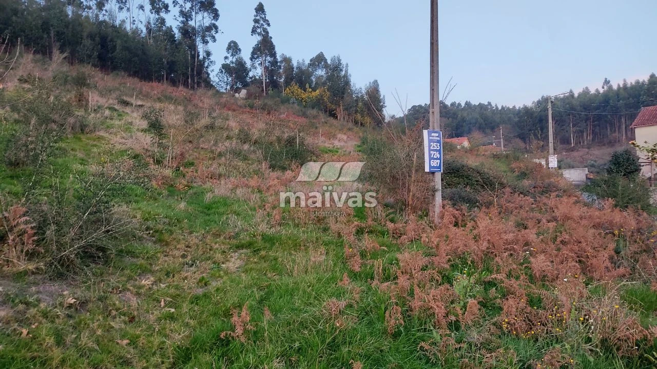Terreno Agricola ou Rústico para Venda em Refoios do Lima Foto 2