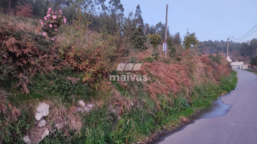 Terreno Agricola ou Rústico para Venda em Refoios do Lima Foto 4