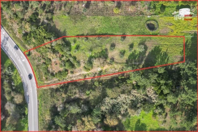Terreno Agricola ou Rústico para Venda em Santa Catarina da Serra e Chainça