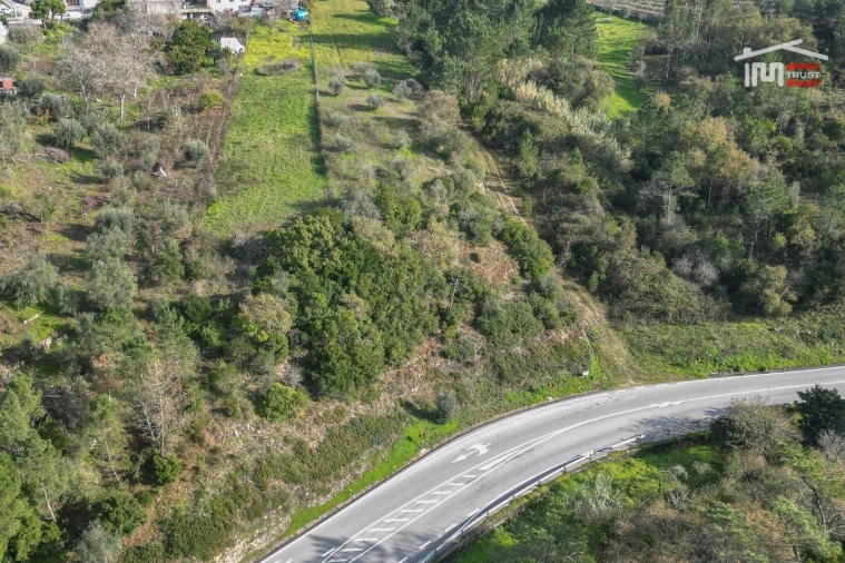 Terreno Agricola ou Rústico para Venda em Santa Catarina da Serra e Chainça Foto 3