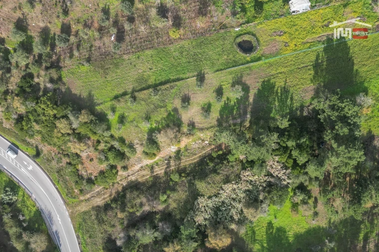 Terreno Agricola ou Rústico para Venda em Santa Catarina da Serra e Chainça Foto 5