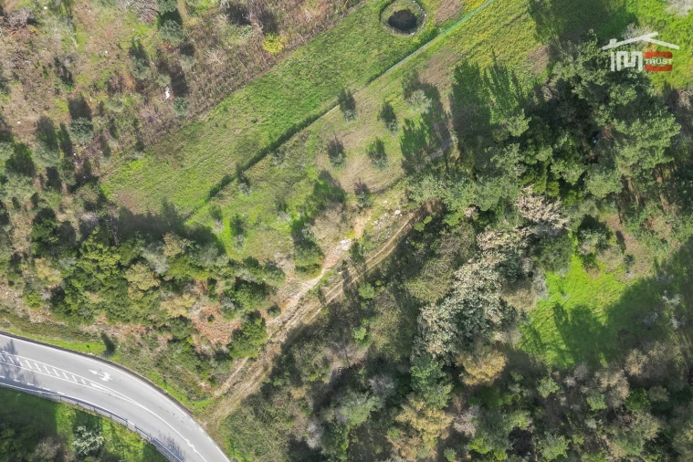 Terreno Agricola ou Rústico para Venda em Santa Catarina da Serra e Chainça Foto 6
