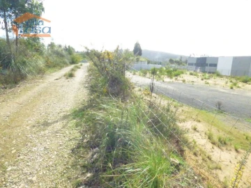 Terreno Agricola ou Rústico para Arrendamento em São João de Ver