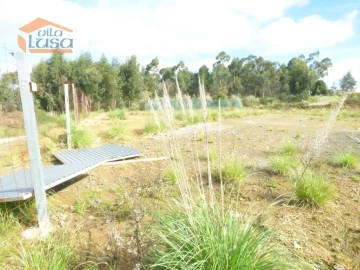 Terreno Agricola ou Rústico para Arrendamento em São João de Ver