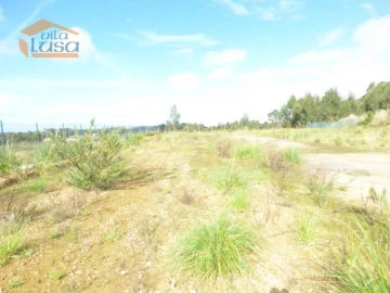 Terreno Agricola ou Rústico para Arrendamento em São João de Ver