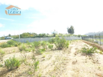 Terreno Agricola ou Rústico para Arrendamento em São João de Ver