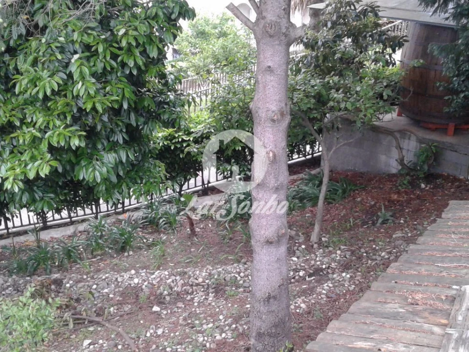 Moradia T4 para Venda em Figueiras e Covas Foto 6