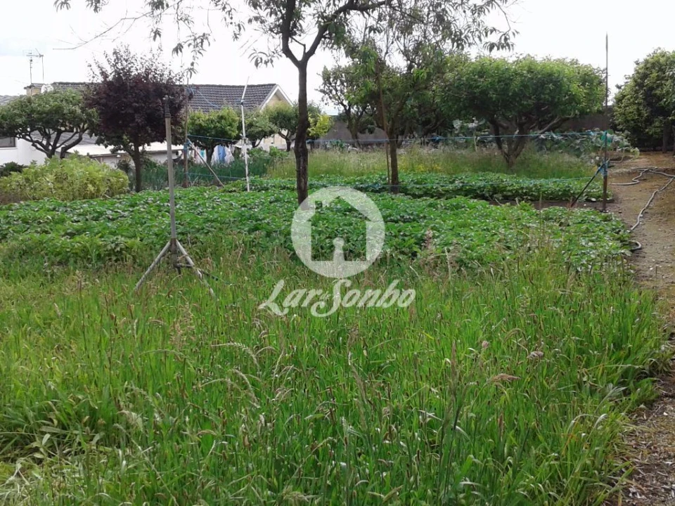 Moradia T4 para Venda em Figueiras e Covas Foto 9