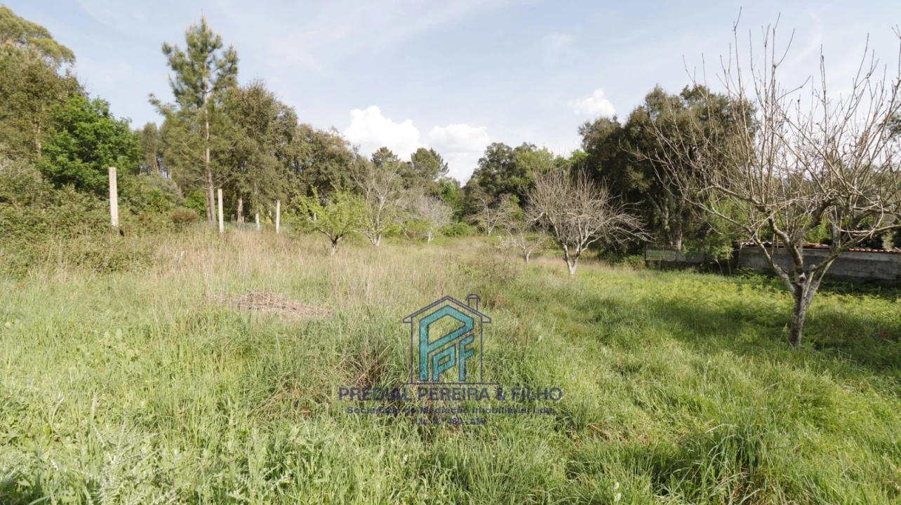 Terreno Misto para Venda em Melres e Medas Foto 13