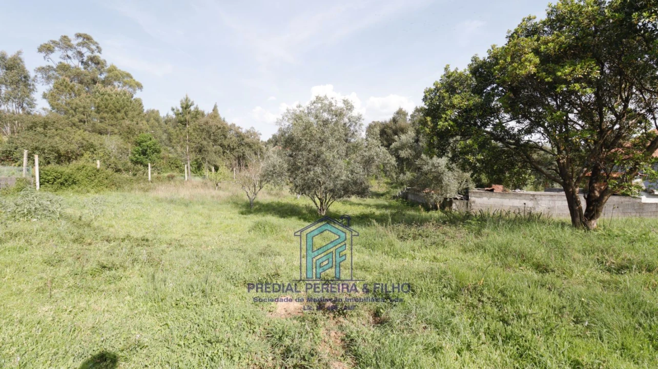 Terreno Misto para Venda em Melres e Medas Foto 15