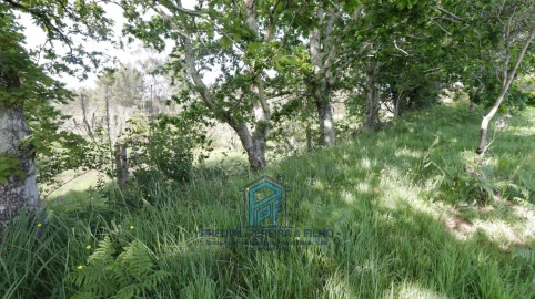 Terreno Misto para Venda em Melres e Medas