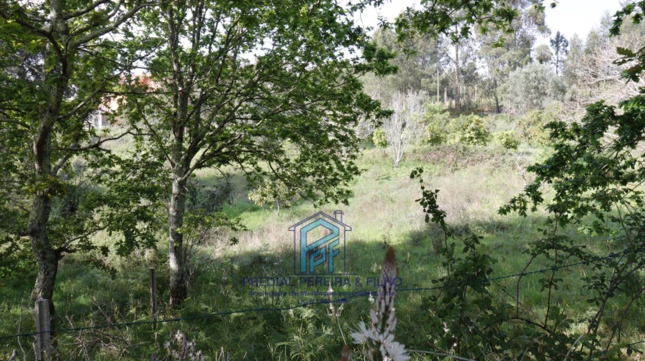 Terreno Misto para Venda em Melres e Medas Foto 16