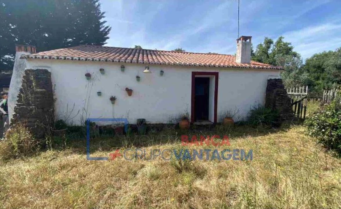 Quinta T10 para Venda em São Salvador e Santa Maria Foto 2