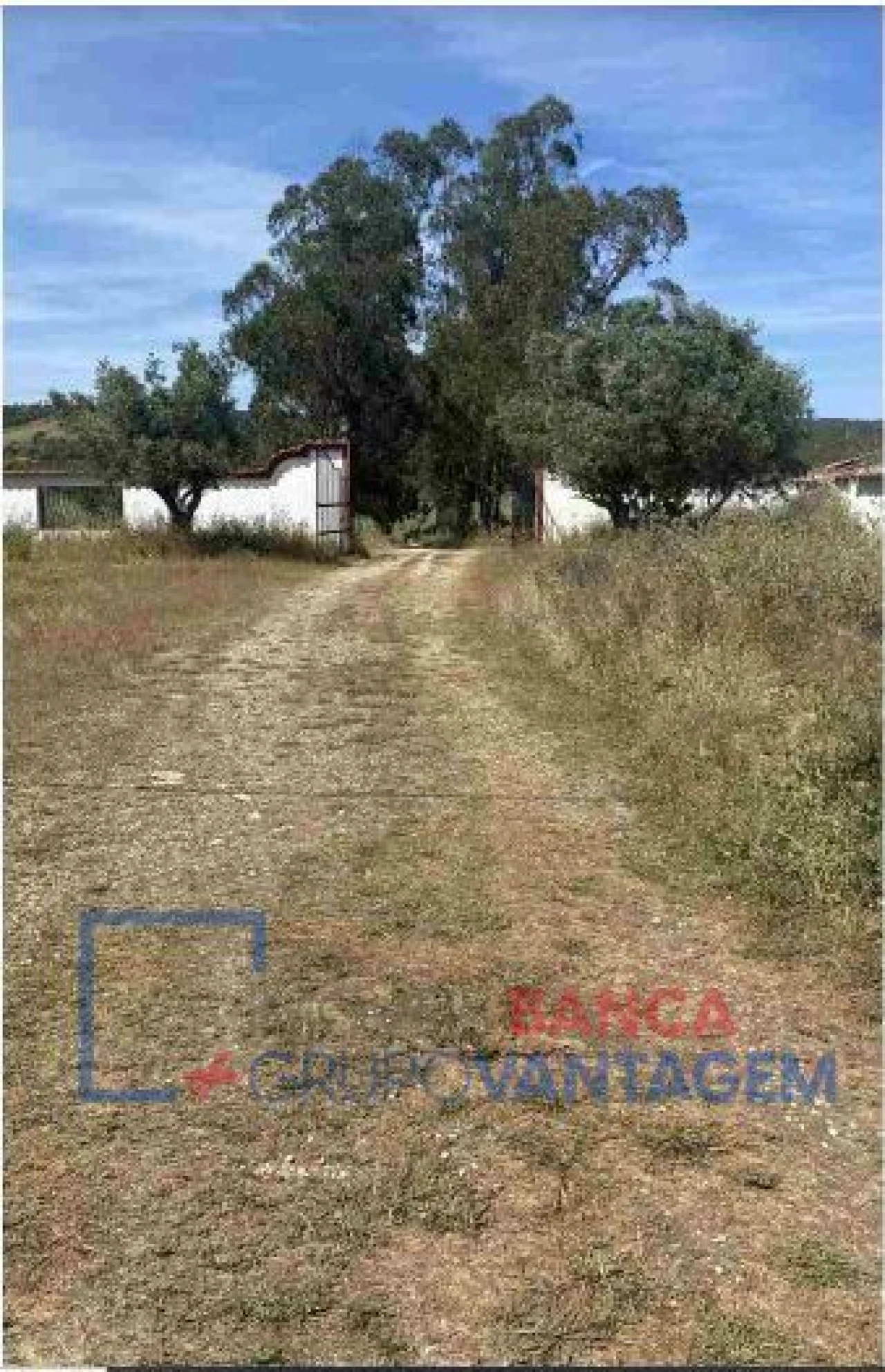 Quinta T10 para Venda em São Salvador e Santa Maria Foto 11