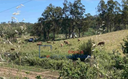 Quinta T10 para Venda em São Salvador e Santa Maria