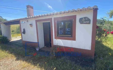 Quinta T10 para Venda em São Salvador e Santa Maria