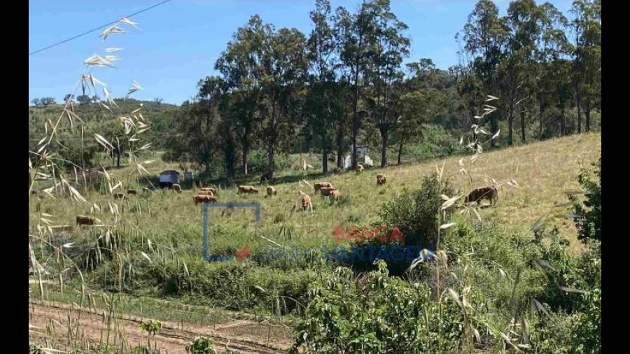 Quinta T10 para Venda em São Salvador e Santa Maria