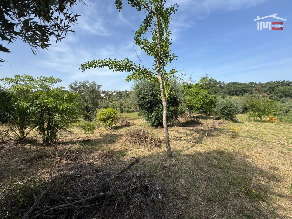 Moradia T2 para Venda em Seiça Foto 30